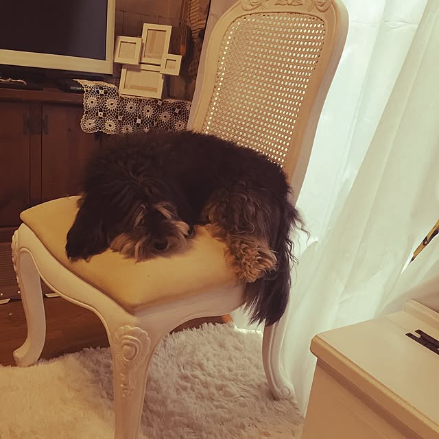 pero1pan5さんの実例写真