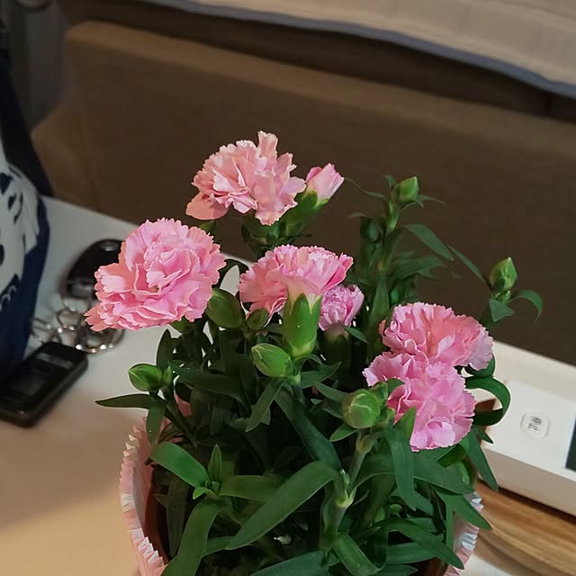 KOHAKUさんの実例写真