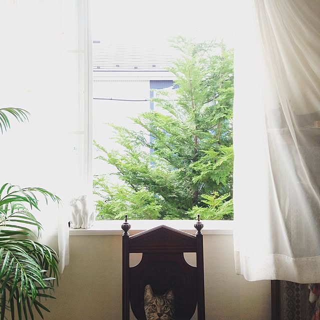 Toruさんの実例写真