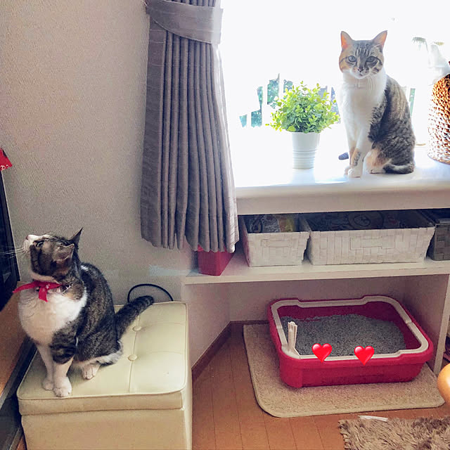 nnmmさんの実例写真