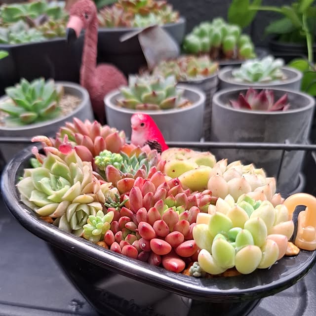 noaさんの部屋