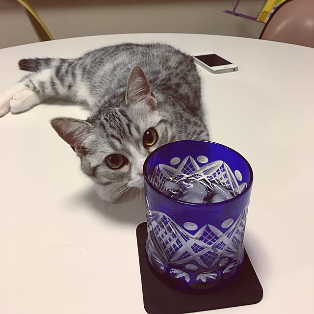 Shojiさんの実例写真