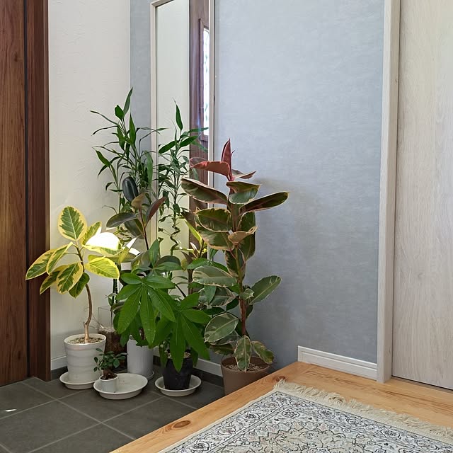 ri-eさんの実例写真