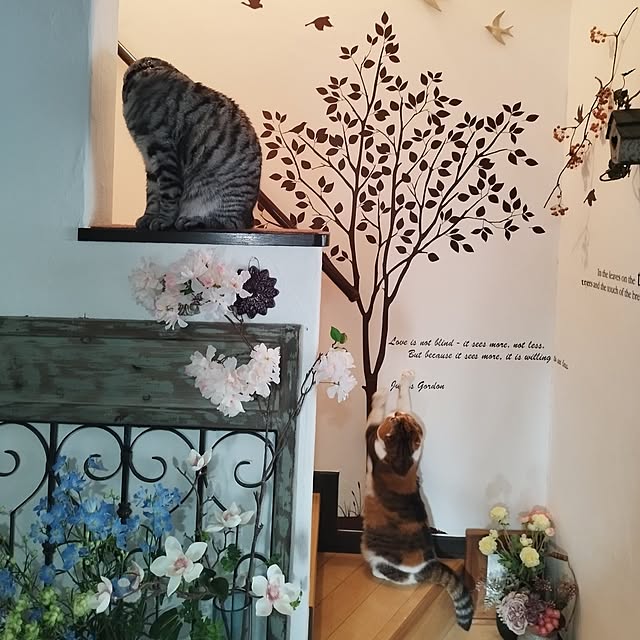 hiro3さんの部屋