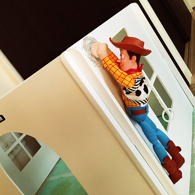 romikiraairiさんの実例写真