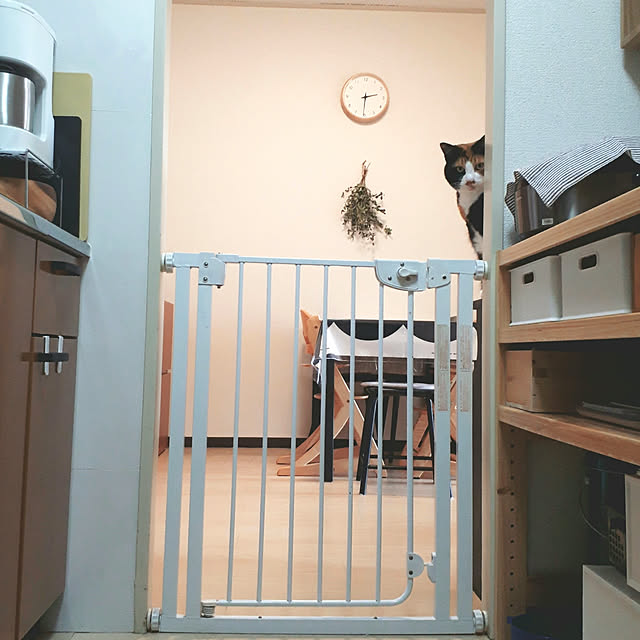 fumiyo.01さんの実例写真