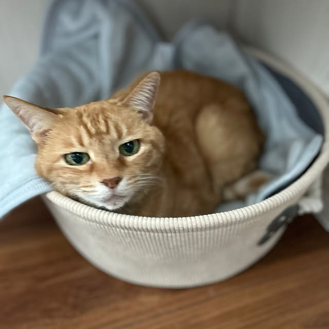 mikeume7さんの部屋