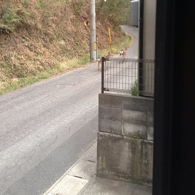 L.さんの実例写真