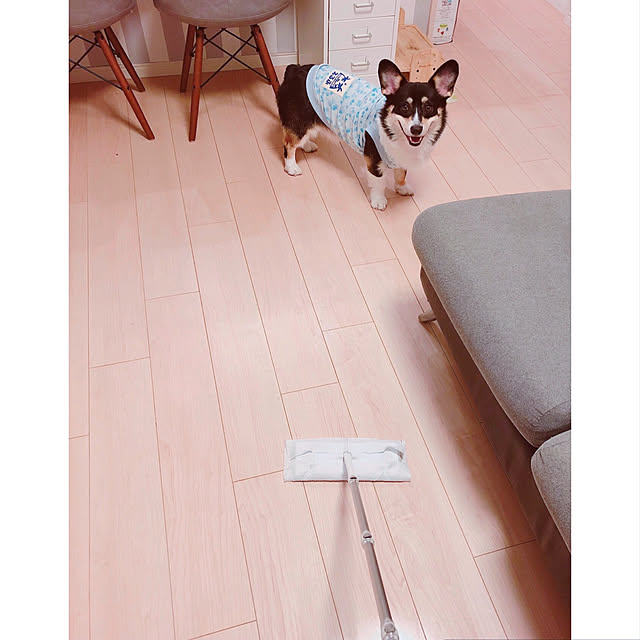 Ruiさんの実例写真
