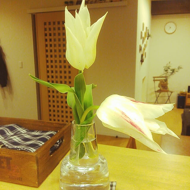 tokoさんの実例写真