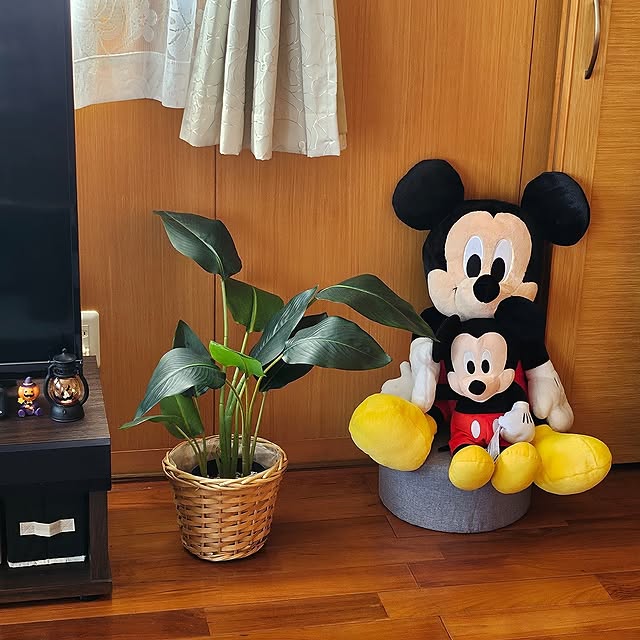 junjunさんの実例写真