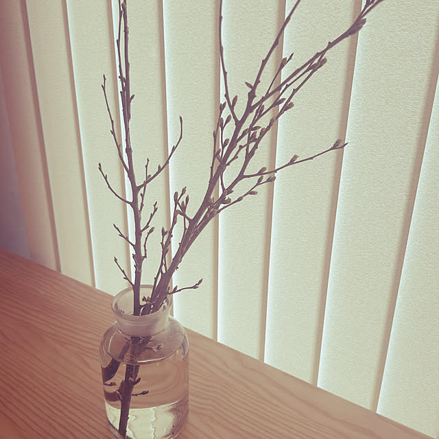 piroaiさんの部屋