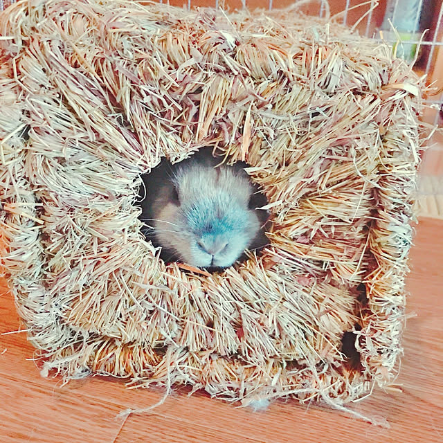 makiさんの実例写真