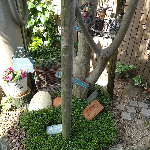 rassesachi.1231さんの実例写真