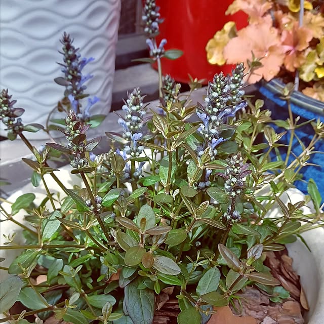 hiro.904さんの実例写真