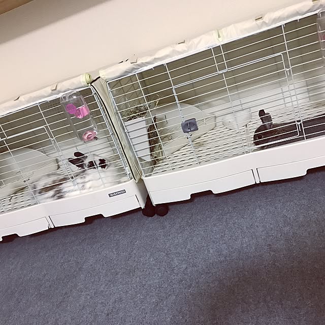 yuiさんの実例写真