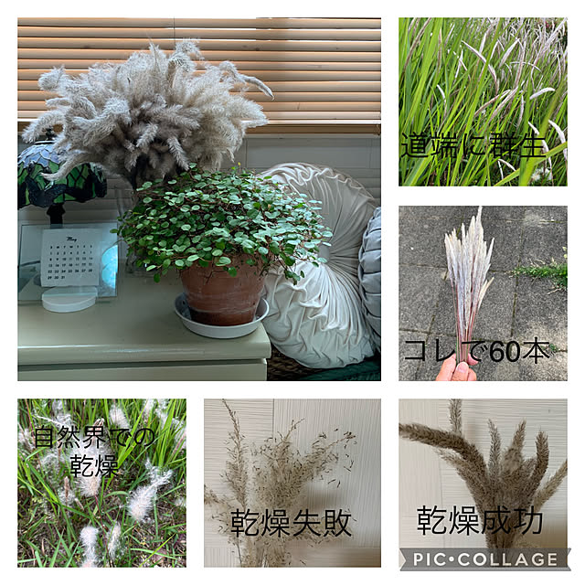 mizucchiさんの実例写真