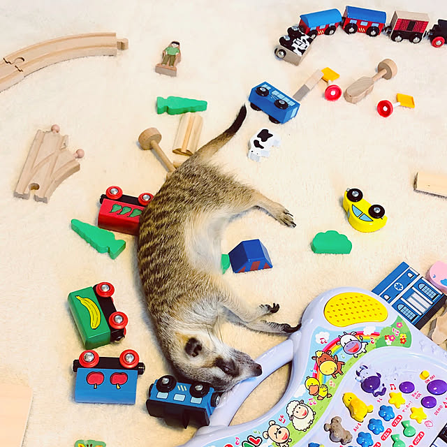 hotaruさんの実例写真