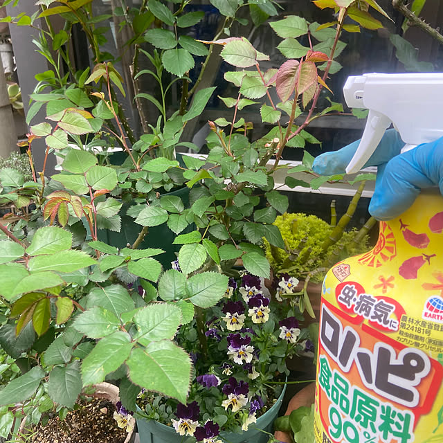 na-chanさんの実例写真