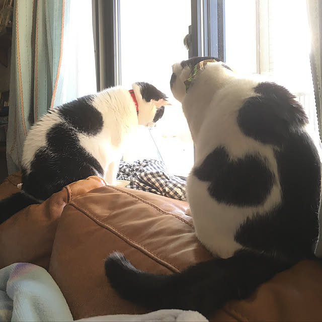 hanaさんの実例写真