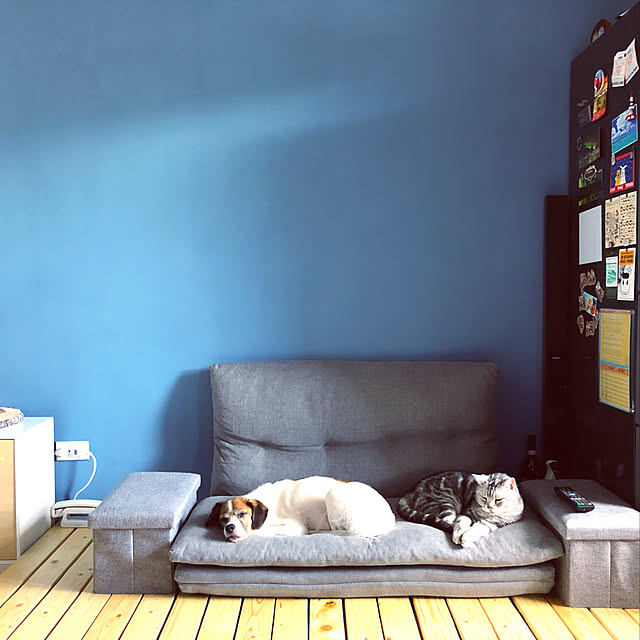 Tigerceoさんの実例写真