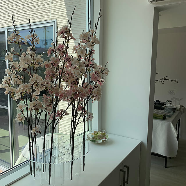 miyabiさんの部屋