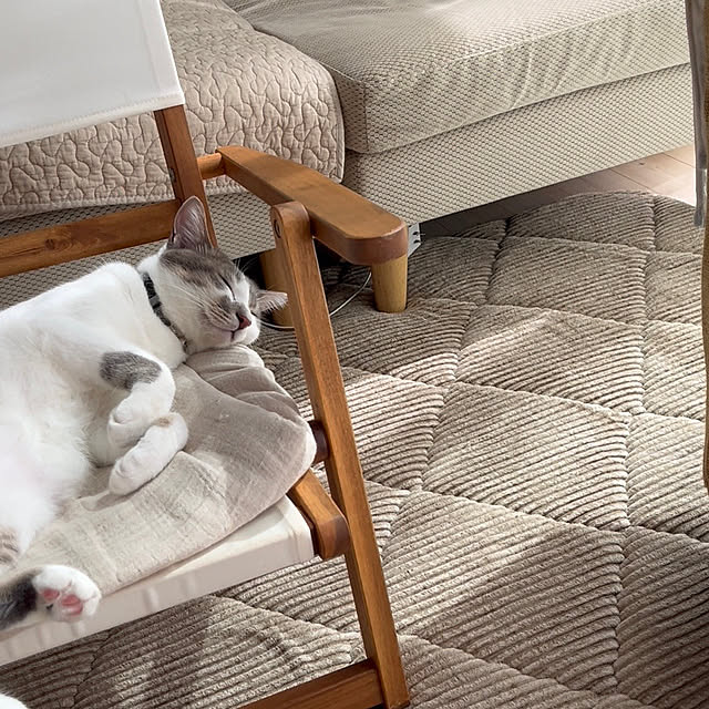 comiriさんの部屋
