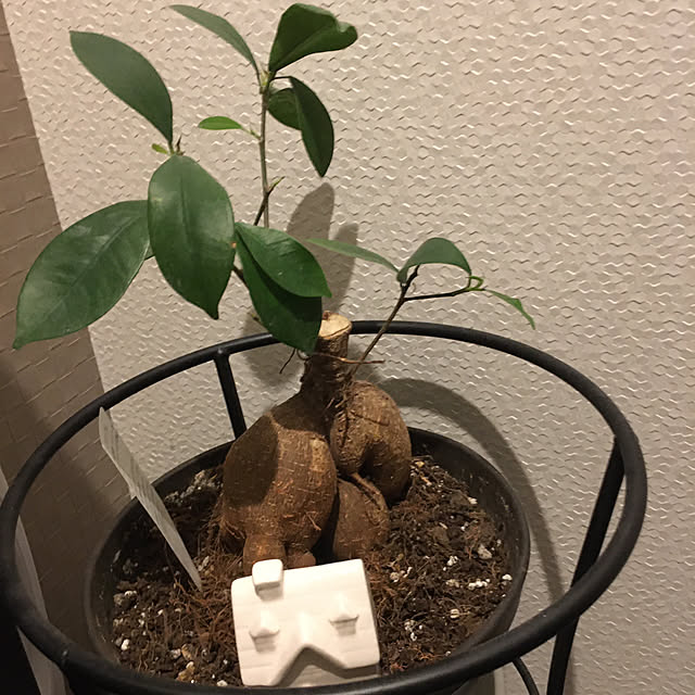 kojimasaさんの部屋