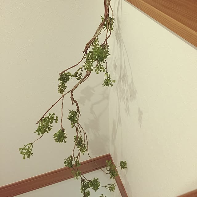 meguchiyoさんの実例写真