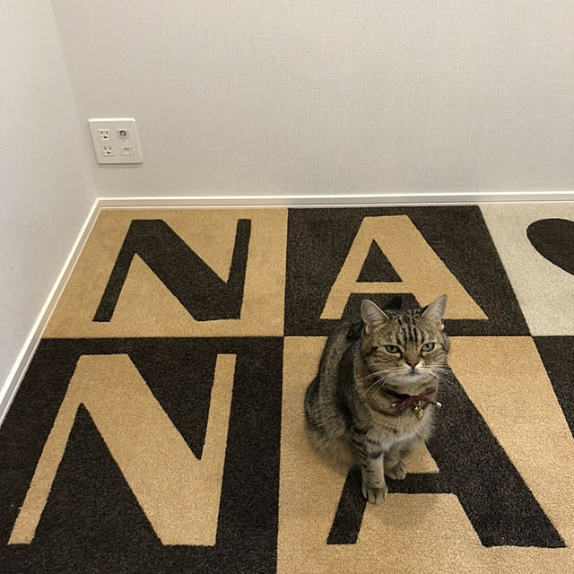 NANACOCOさんの実例写真