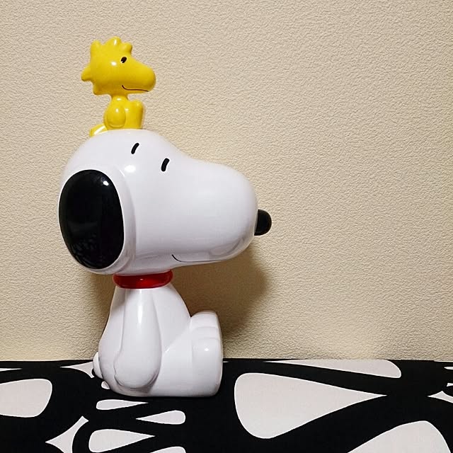 vanillamilkkeitoさんの実例写真