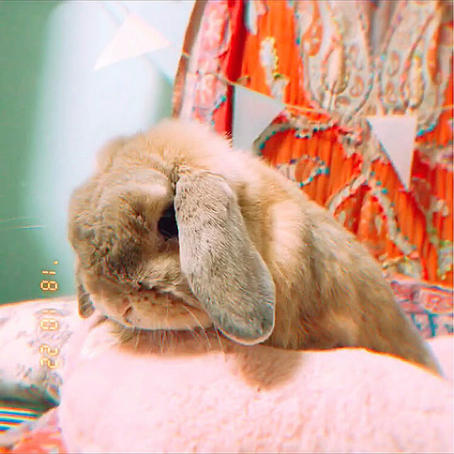 mmipさんの実例写真