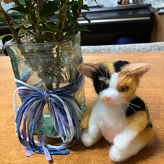 chiyoさんの実例写真