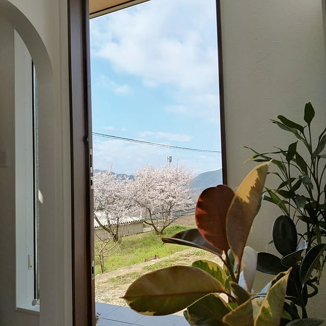 ri-eさんの実例写真