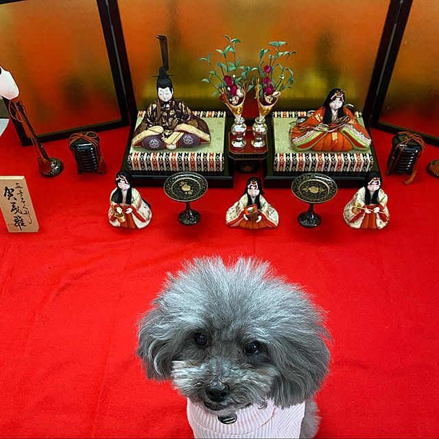 kaoさんの実例写真