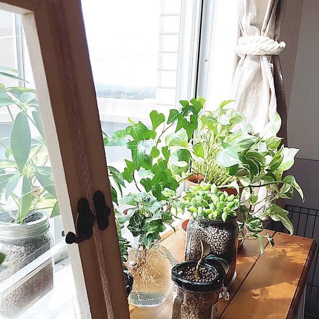 marichangさんの実例写真