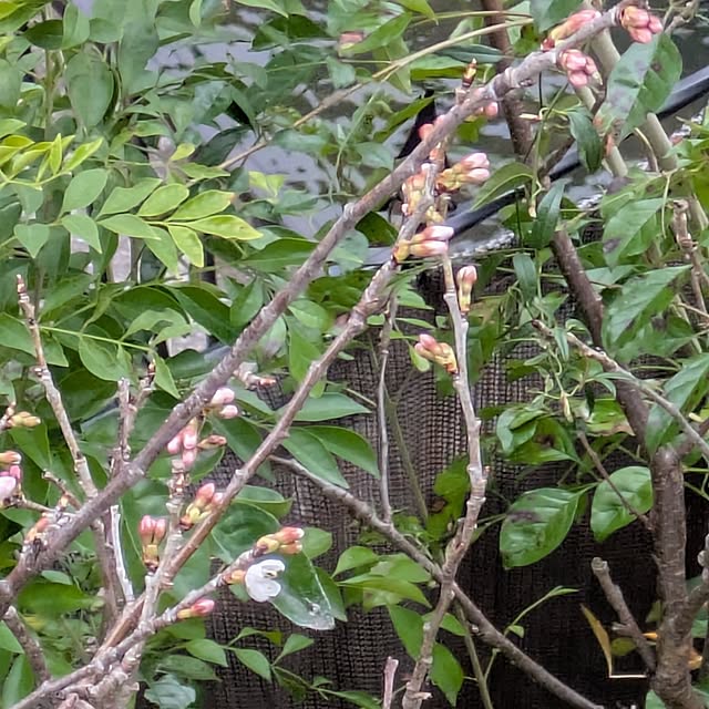 mori_6_12さんの実例写真