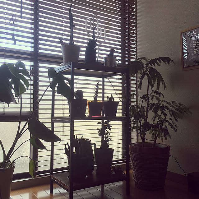 koedaさんの実例写真