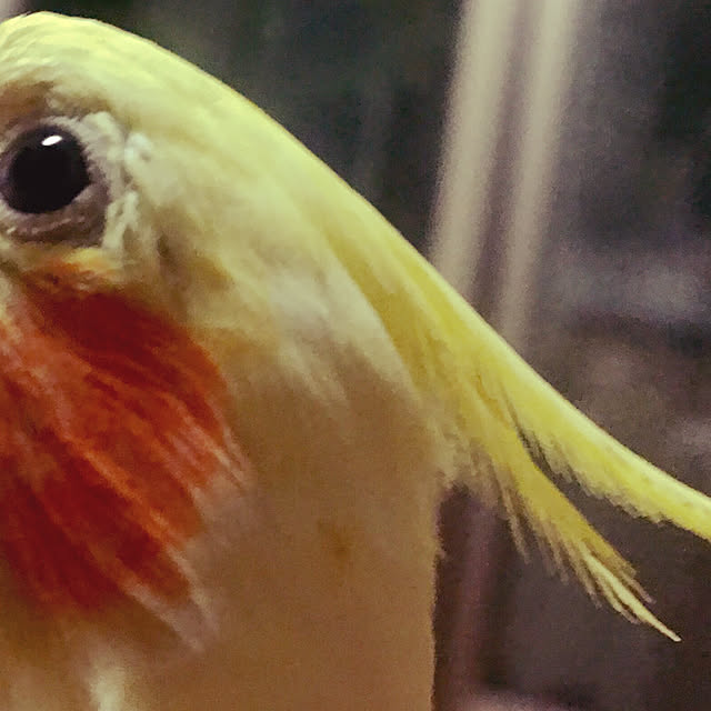 moguさんの実例写真