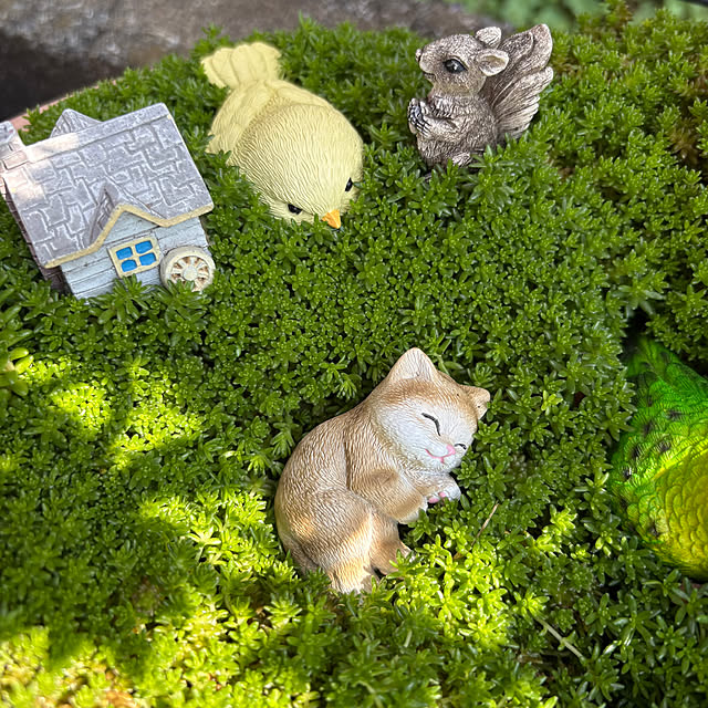 nannoさんの部屋