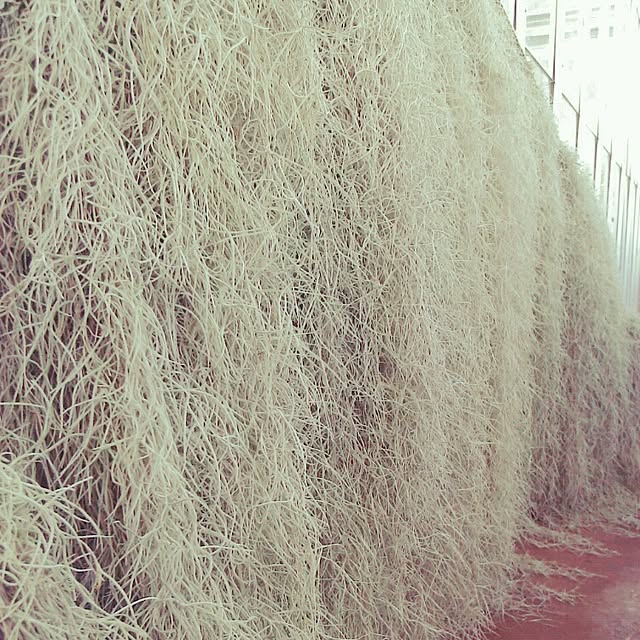 Plantexhibitionhallさんの実例写真