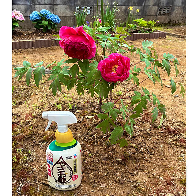 Fleur_さんの実例写真