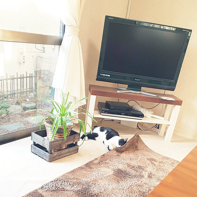 oseroさんの実例写真