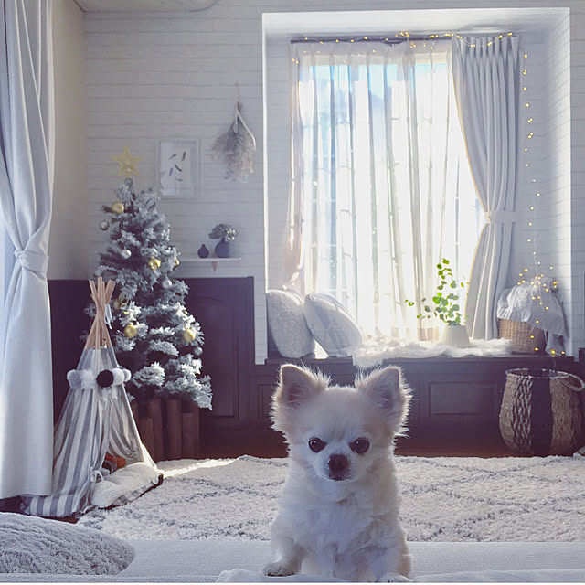 ponさんの実例写真