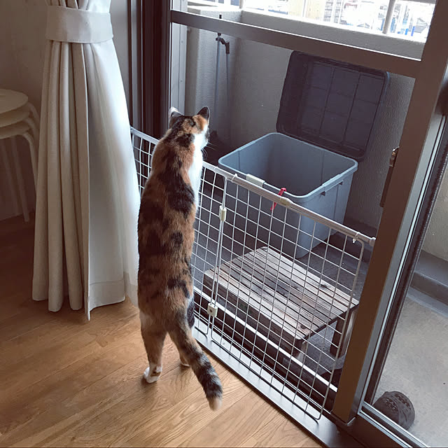 s.uraさんの実例写真