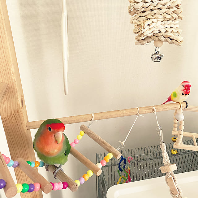 pipiさんの実例写真