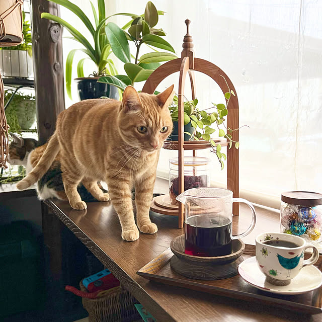 Maruさんの実例写真