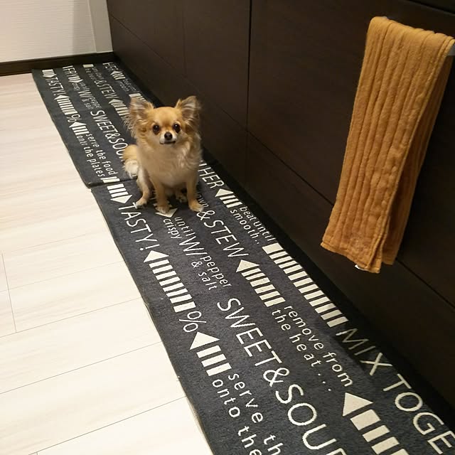 kojikojiさんの実例写真