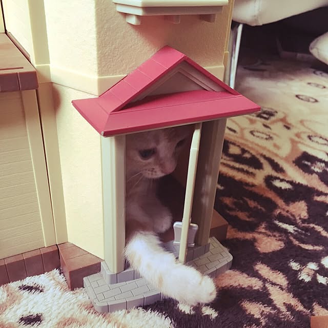 nicomikuさんの実例写真
