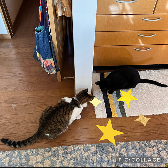 jijiさんの実例写真